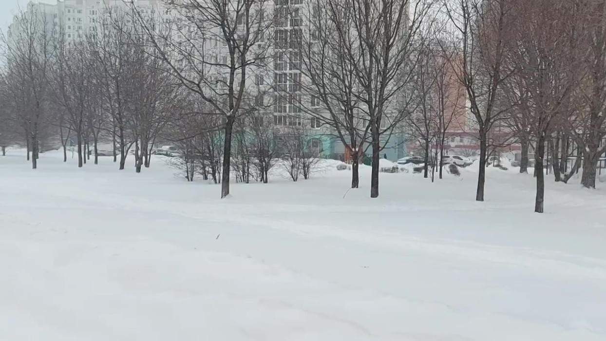 Погода снегопад. Много снега. Снег в Москве. Декабрь снег Москва. Ветер и снегопад в Москве.