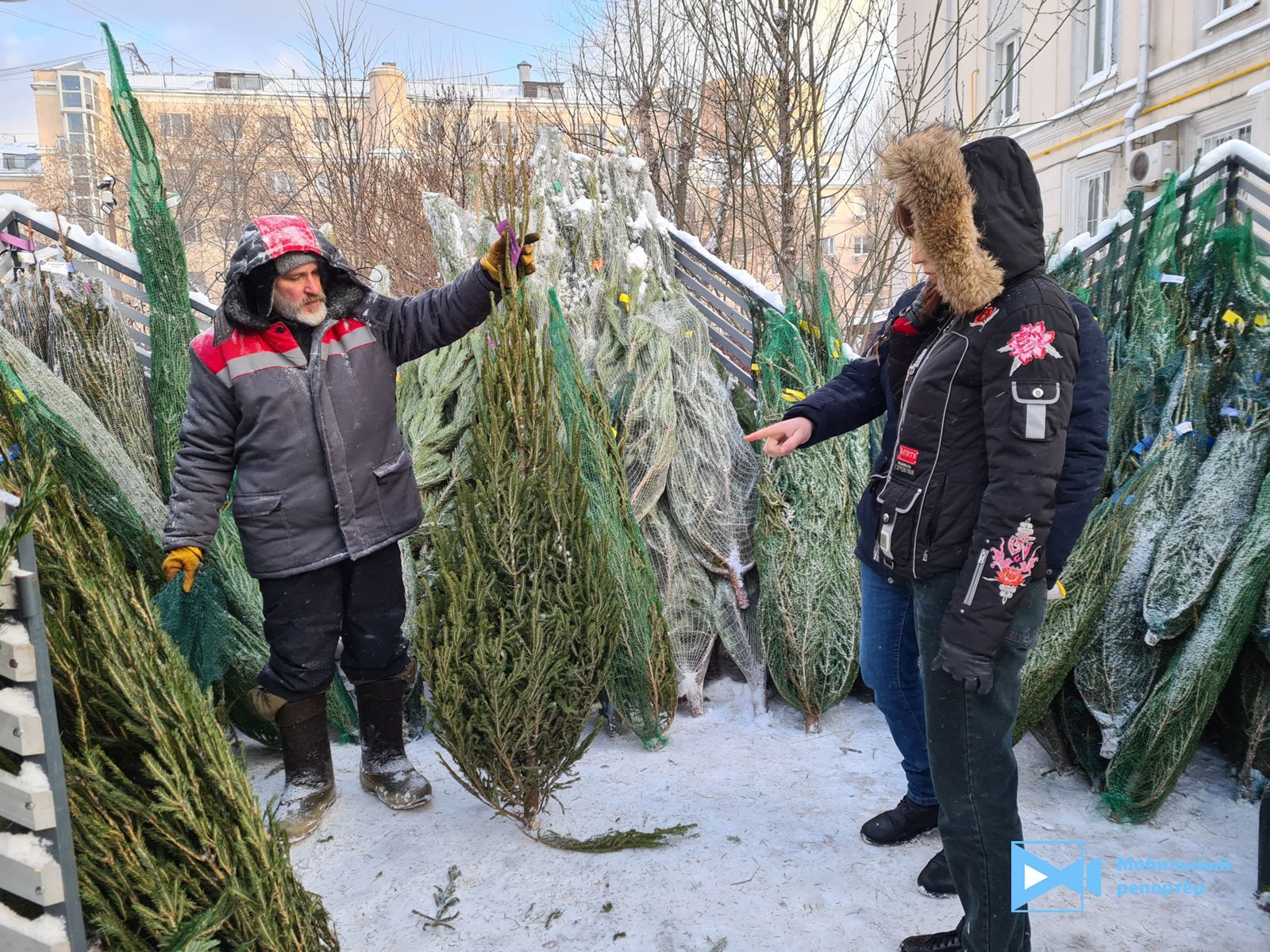 Когда откроются елочные базары в москве. Елочный базар в Москве. Елочный рынок.