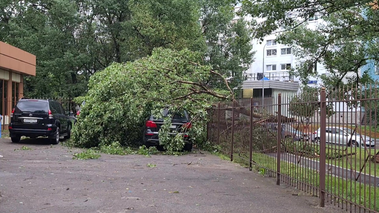 Дерево упало на дом фото