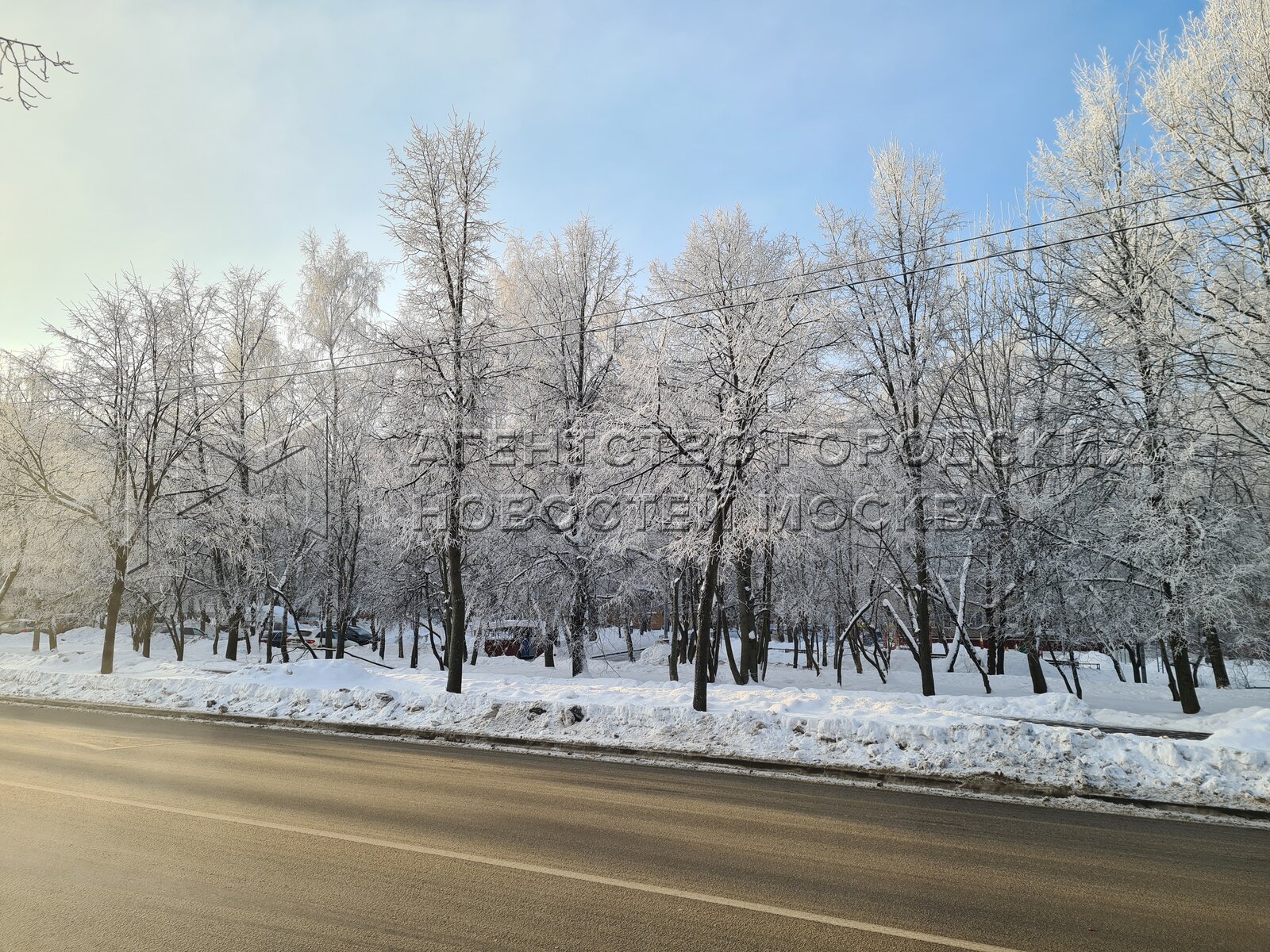 Фото 22 декабря. Метель. Изморозь. В Красноярск пришла зима. Метель погода.