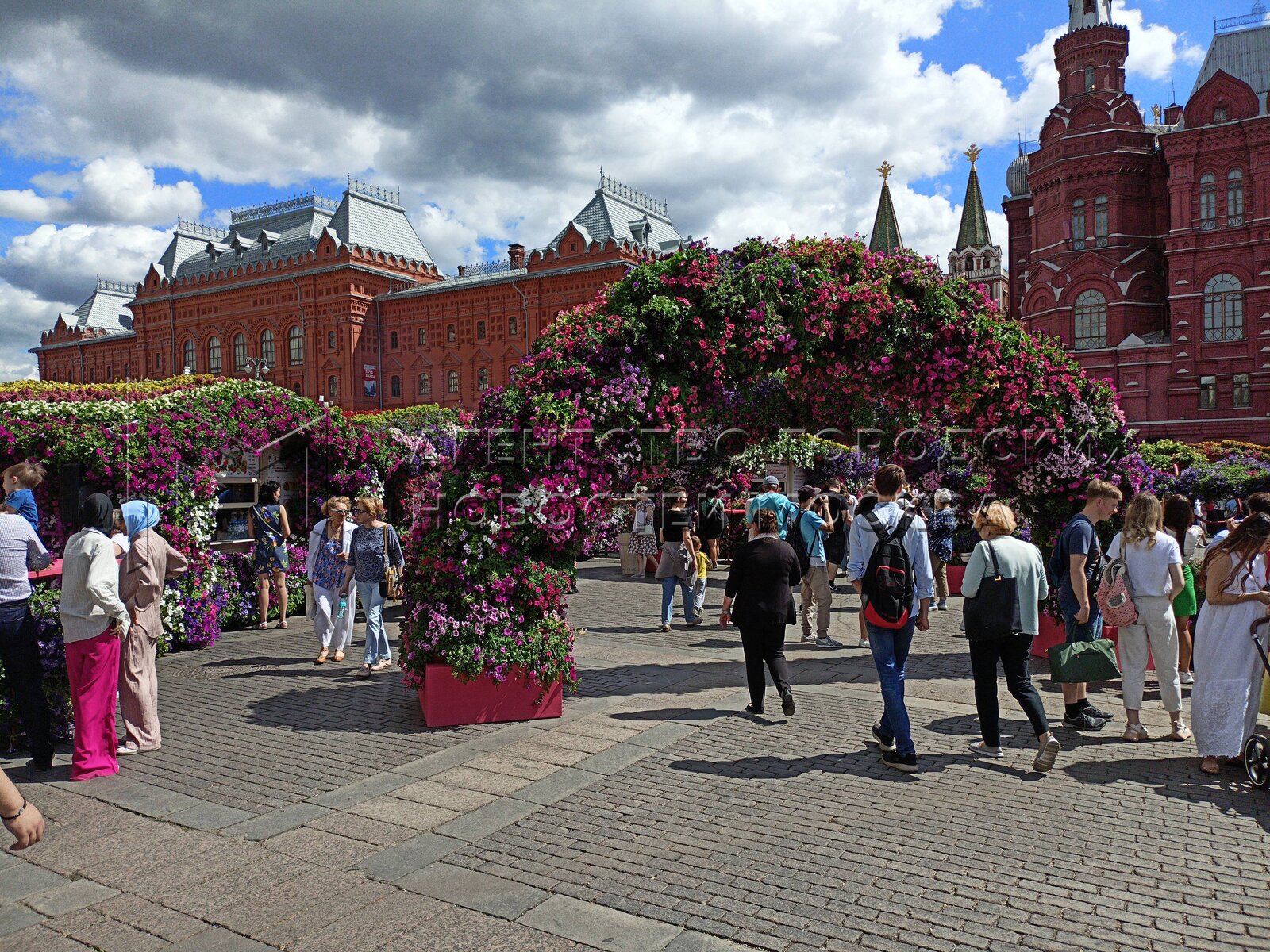 Сайт 7 цветов москва