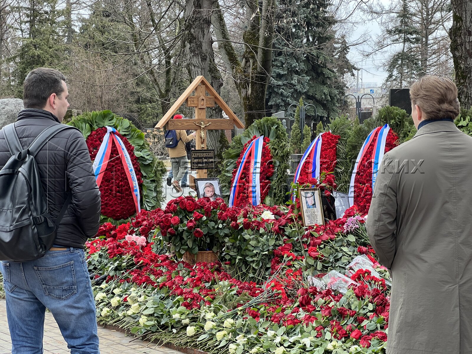 Могила жириновского на новодевичьем кладбище фото