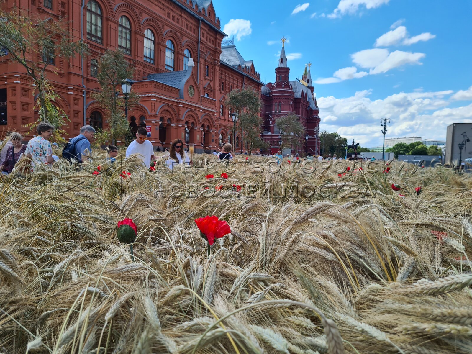 В каких городах пройдет фестиваль. Цветочный фестиваль в Москве красная площадь. Цветы в центре Москвы фестиваль. Цветочный джем. Цветочный джем красная площадь.